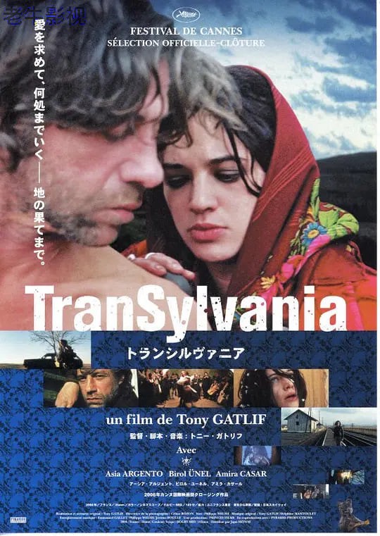 寻爱之旅 2006