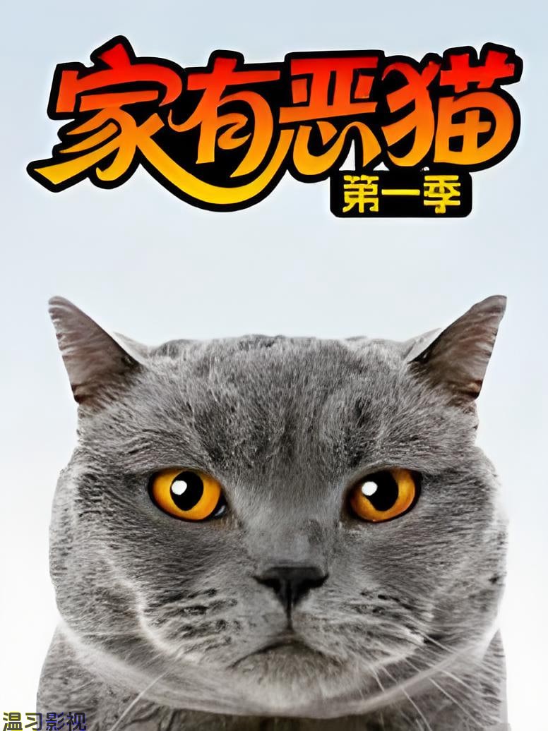 家有恶猫 第一季